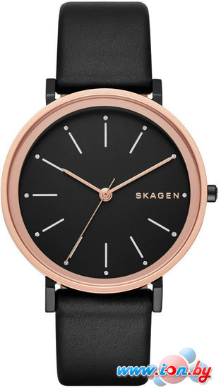 Наручные часы Skagen SKW2490 в Бресте