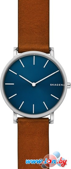 Наручные часы Skagen SKW6446 в Могилёве