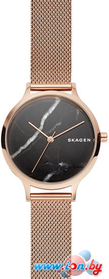 Наручные часы Skagen SKW2721 в Бресте