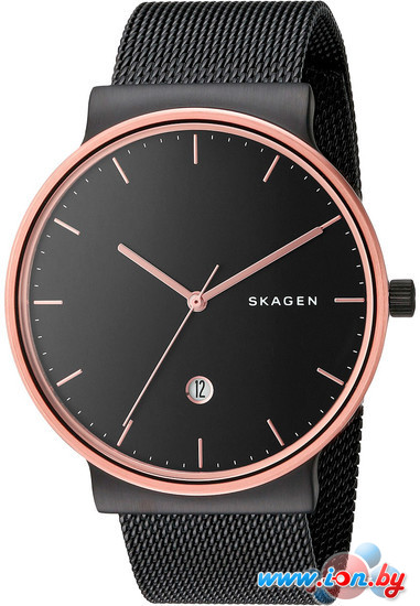 Наручные часы Skagen SKW6296 в Гомеле