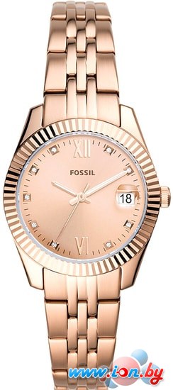 Наручные часы Fossil Scarlette Mini ES4898 в Могилёве