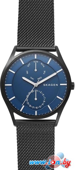 Наручные часы Skagen SKW6450 в Гомеле