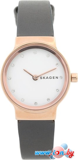 Наручные часы Skagen SKW2669 в Бресте