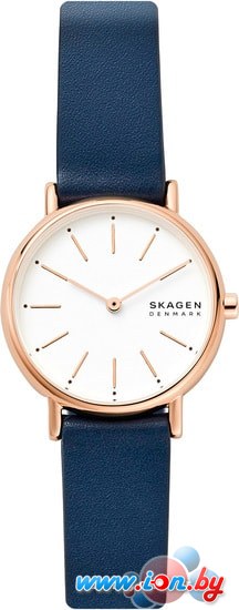 Наручные часы Skagen SKW2838 в Гомеле