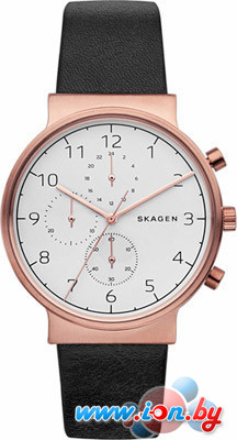 Наручные часы Skagen SKW6371 в Могилёве