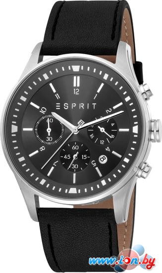 Наручные часы Esprit ES1G209L0035 в Бресте