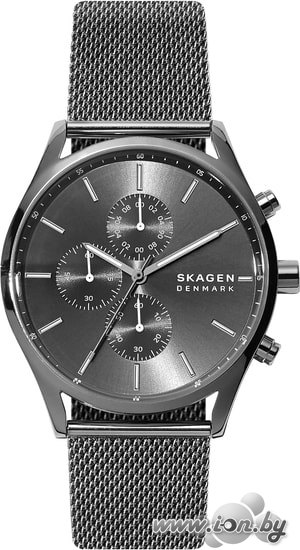 Наручные часы Skagen SKW6608 в Могилёве