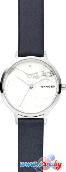 Наручные часы Skagen SKW2719 в Бресте