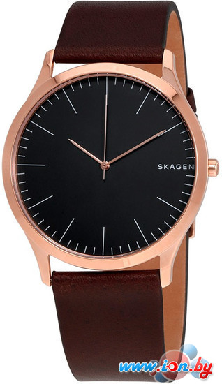 Наручные часы Skagen SKW6330 в Могилёве