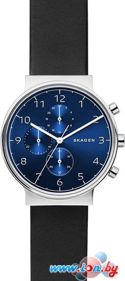 Наручные часы Skagen SKW6417 в Бресте