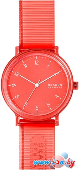 Наручные часы Skagen SKW6603 в Могилёве