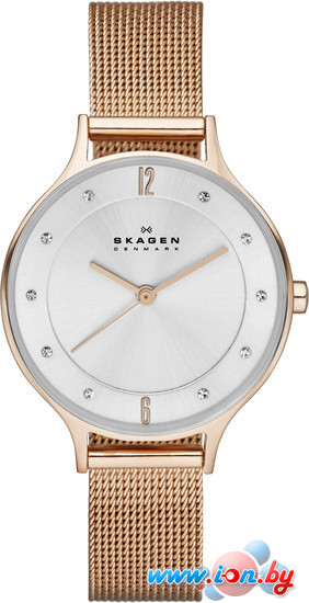 Наручные часы Skagen SKW2151 в Бресте