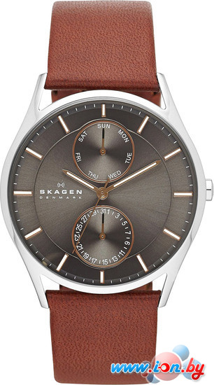 Наручные часы Skagen SKW6086 в Бресте