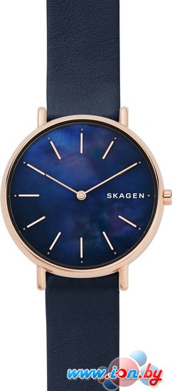 Наручные часы Skagen SKW2731 в Могилёве