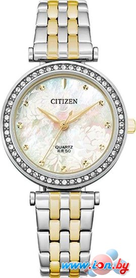 Наручные часы Citizen ER0214-54D в Могилёве