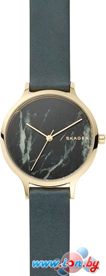 Наручные часы Skagen SKW2720 в Бресте