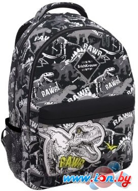 Рюкзак Erich Krause EasyLine 20L Dinosaur Park 51629 в Витебске