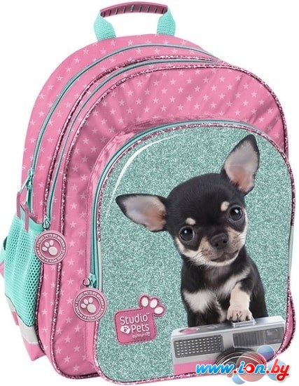 Рюкзак Paso Studio Pets PTE-090 в Могилёве