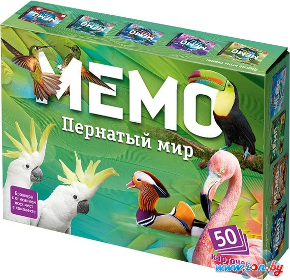 Настольная игра Нескучные игры Мемо - Пернатый мир в Могилёве