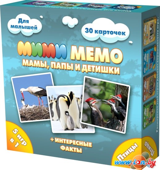 Настольная игра Нескучные игры Ми-Ми-Мемо Птицы 8052 в Бресте