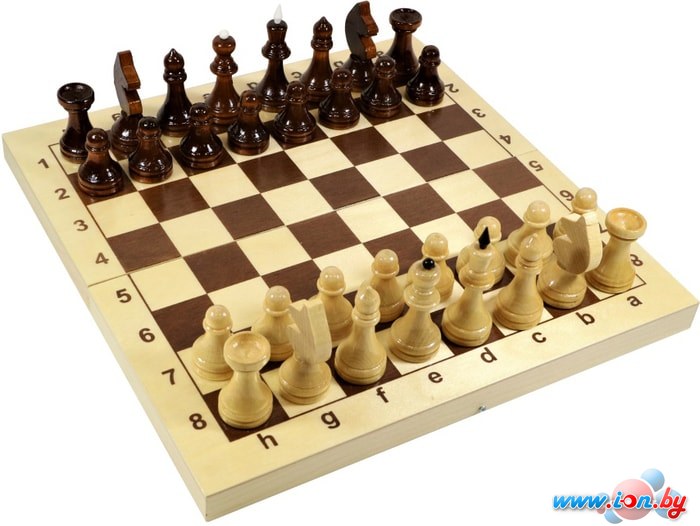 Шахматы Десятое королевство 02845 в Бресте