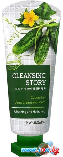 Welcos Пенка для умывания Cleansing Story Foam Cleansing Cucumber 120 г в Могилёве