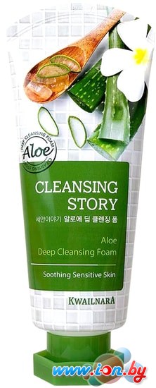 Welcos Пенка для умывания Cleansing Story Foam Cleansing Aloe 120 мл в Бресте