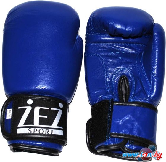Перчатки для единоборств Zez 12-OZ-NK (синий) в Гомеле