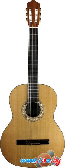 Акустическая гитара Kremona S65C в Бресте