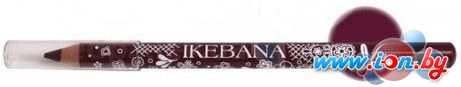 Карандаш для губ Vipera Ikebana (тон 357) в Бресте