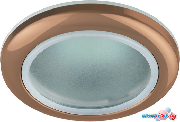 Точечный светильник ЭРА WR1 SC в Могилёве