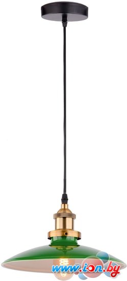 Подвесная люстра Lussole Loft Badger LSP-9543 в Могилёве