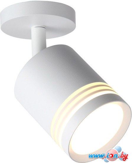 Спот ST Luce Cerione ST101.512.05 в Могилёве