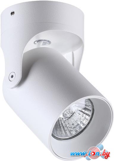 Спот Odeon Light Corsus 3854/1C в Могилёве