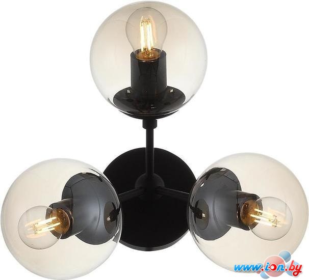 Бра ST Luce SL549.411.03 (черный/дымчатый) в Гомеле