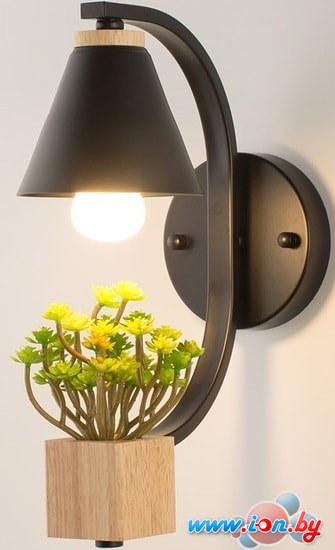 Бра Home Light Астерия B149-2-B (Черный) в Минске