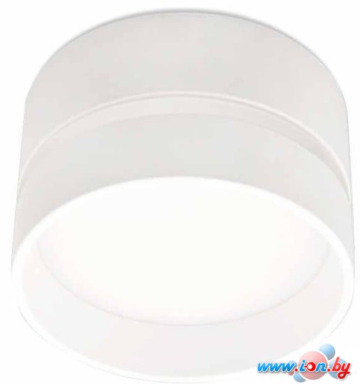 Точечный светильник Ambrella light Techno Spot TN620 SWH в Гродно