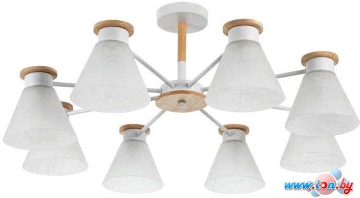 Люстра средней высоты Arte Lamp Tyler A1031PL-8WH в Могилёве