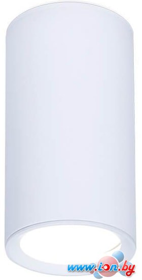 Точечный светильник Ambrella light Techno Spot TN218 WH/S в Могилёве