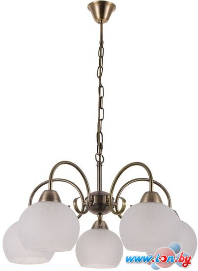 Подвесная люстра Arte Lamp Margo A9317LM-5AB в Могилёве