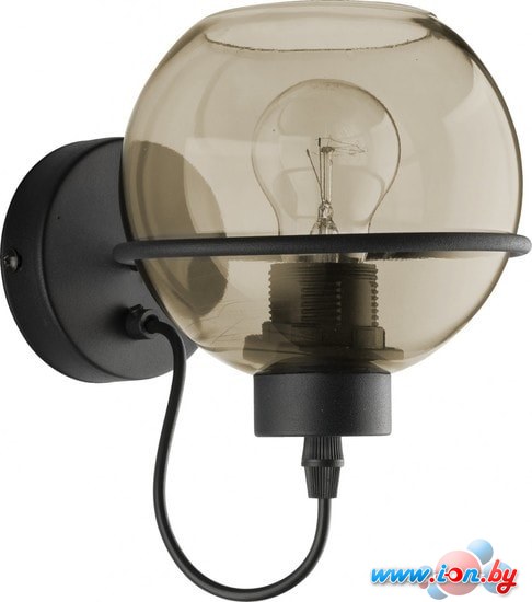 Бра TK Lighting Pobo 1971 в Гродно