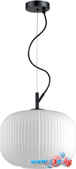 Подвесная люстра Odeon Light Roofi 4754/1 в Могилёве
