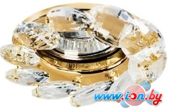 Точечный светильник Lightstar Noce 031902 в Могилёве