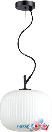 Подвесная люстра Odeon Light Roofi 4753/1 в Гродно