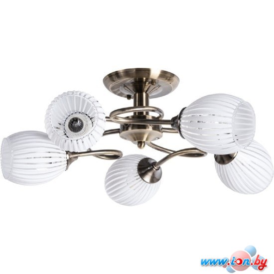 Припотолочная люстра Arte Lamp Arya A2941PL-5AB в Могилёве
