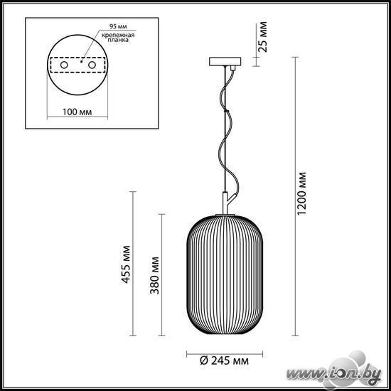 Подвесная люстра Odeon Light Roofi 4752/1 в Бресте