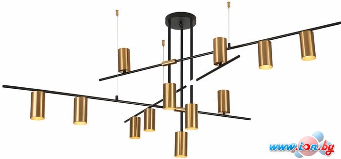 Подвесная люстра ST Luce Sormano SL1206.402.12 в Гродно