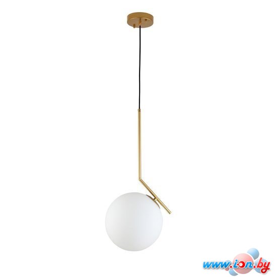 Подвесная люстра ST Luce Codda SL1148.303.01 в Бресте