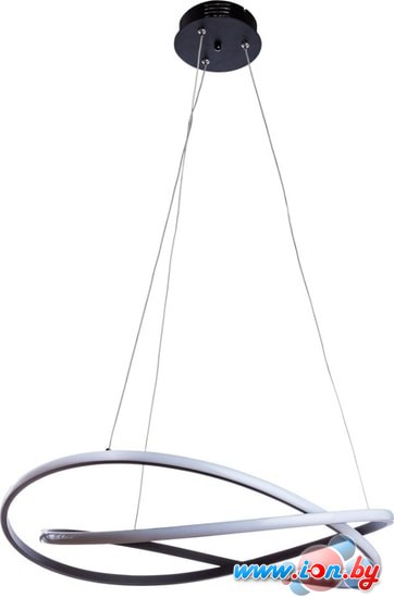 Подвесная люстра Arte Lamp Swing A2522SP-2BK в Минске