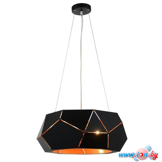 Подвесная люстра ST Luce Enigma SL258.403.06 в Гродно